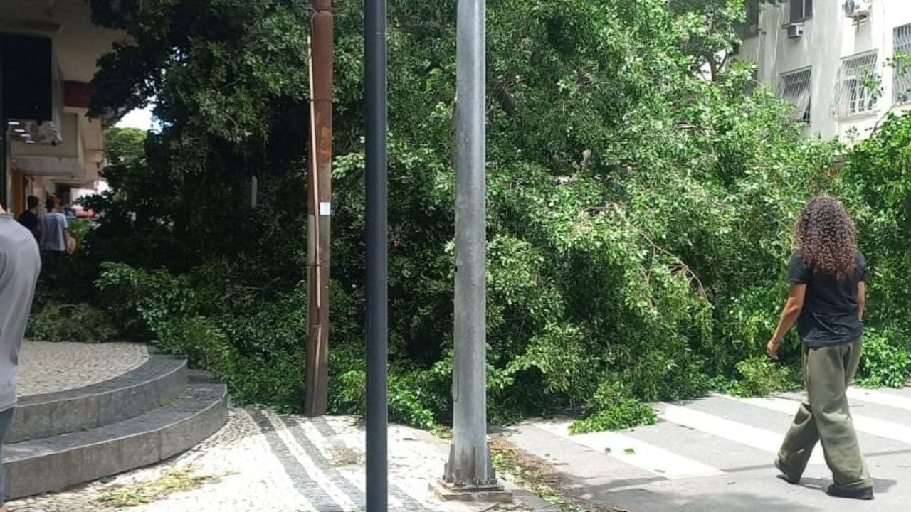 Àrvore afetada pela forte ventania no Rio