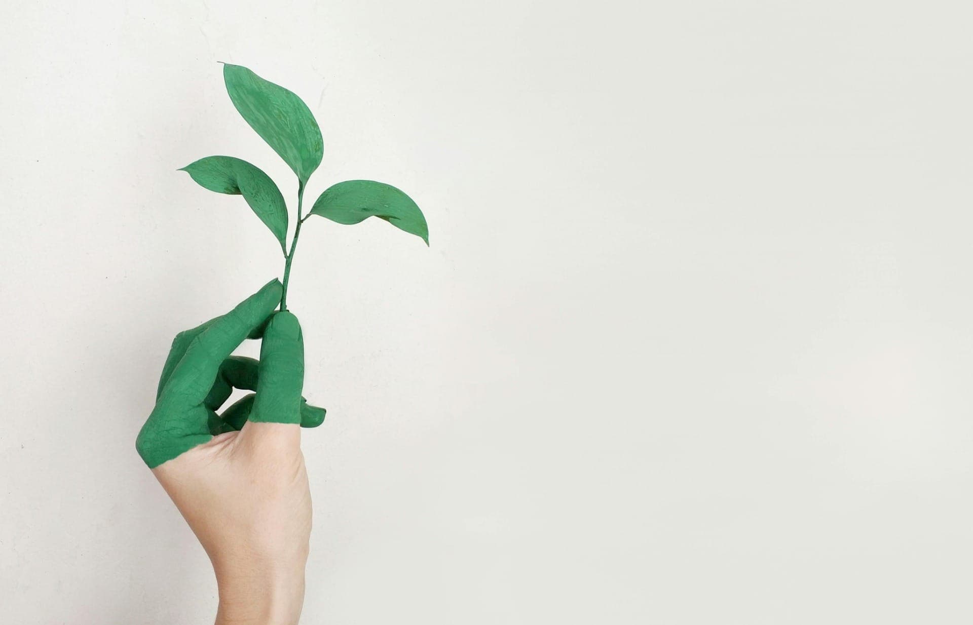 Entenda o que é greenwashing