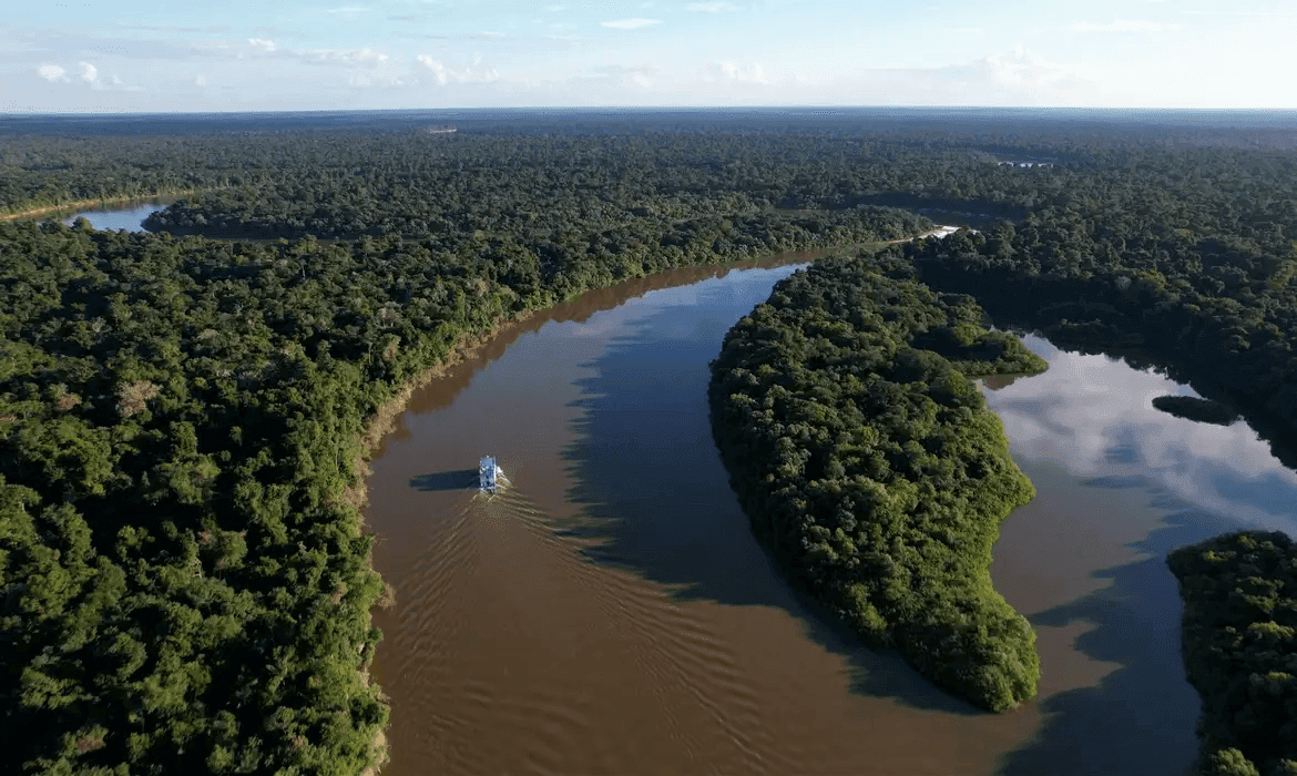 Amazônia: 5 curiosidades sobre a maior floresta do planeta