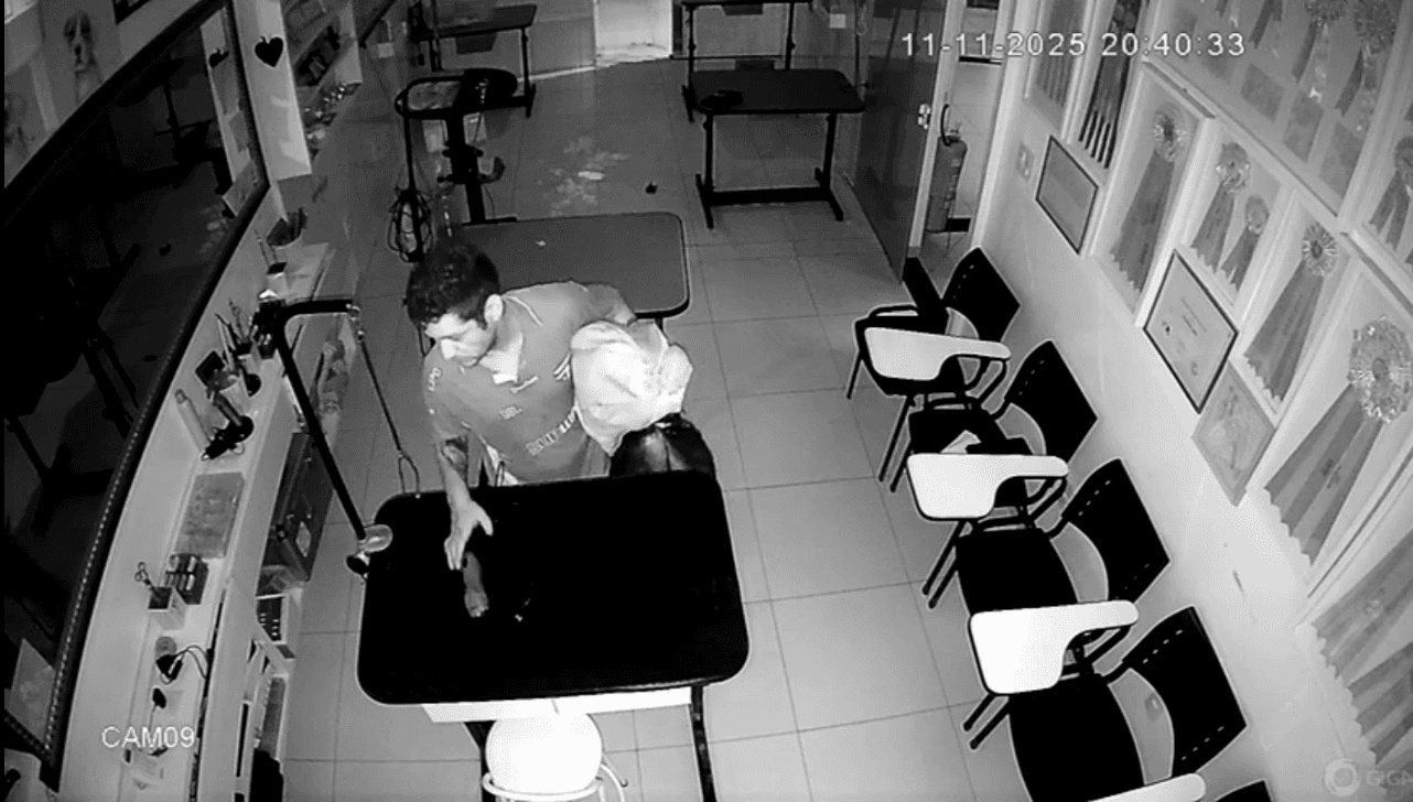 Imagens registraram o furto 