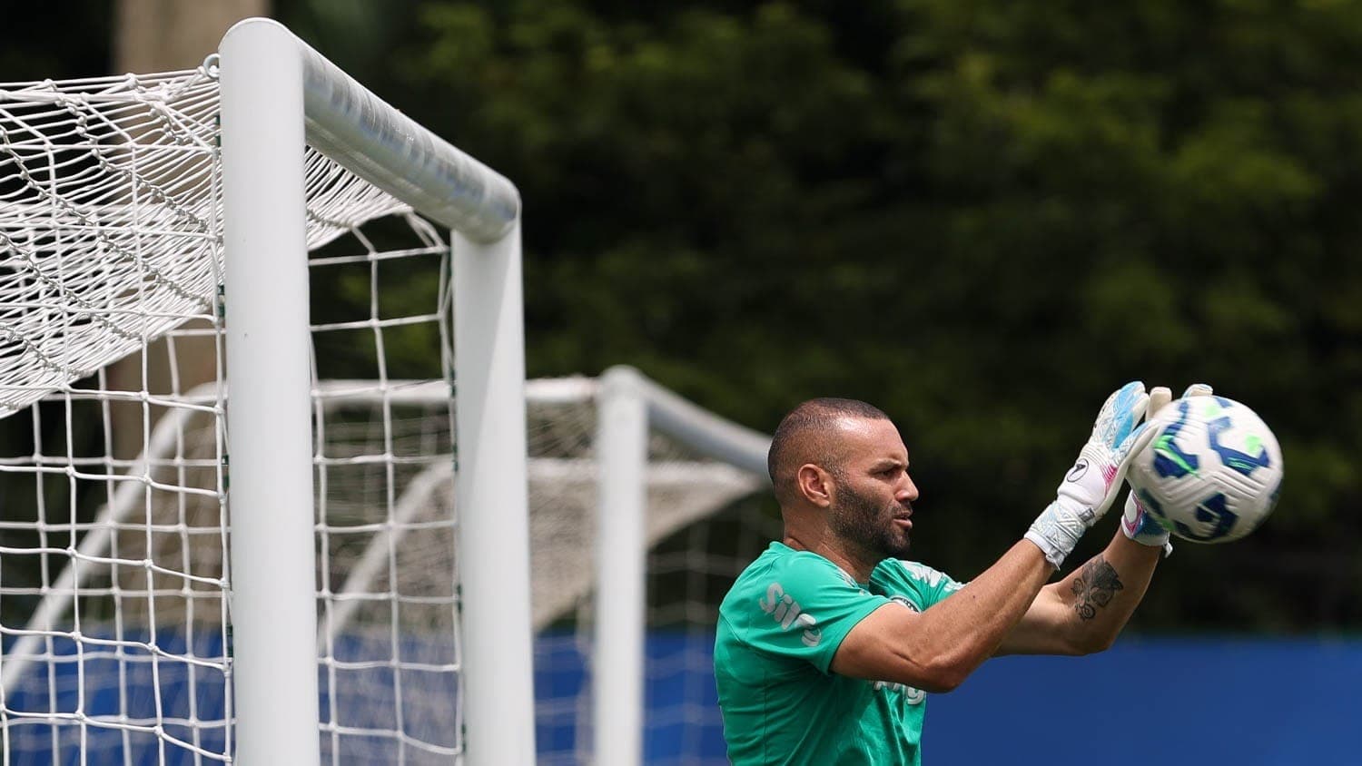 Weverton, goleiro do Palmeiras