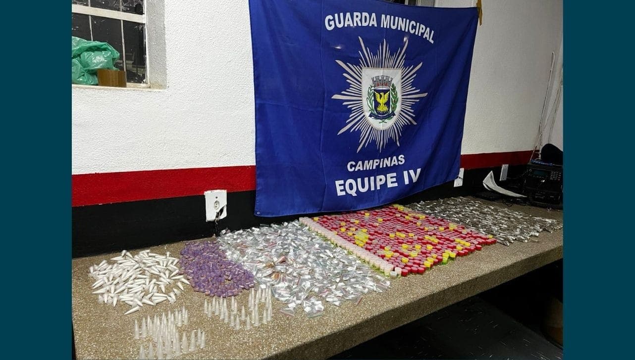 Diversas porções de drogas foram apreendidas