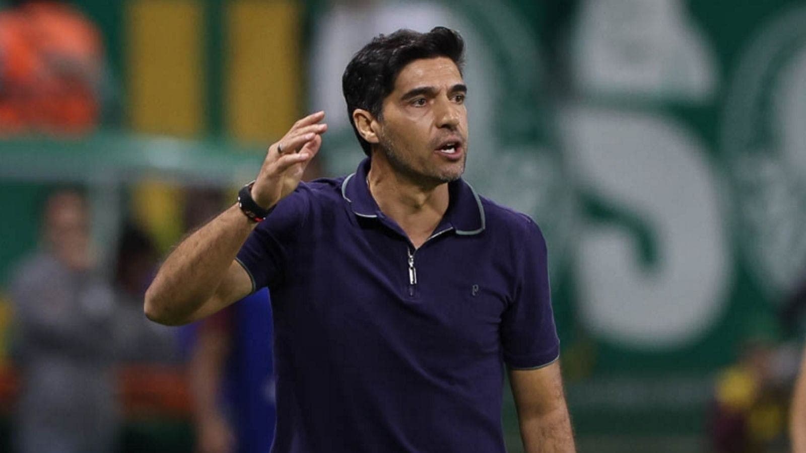 Abel Ferreira, técnico do Palmeiras