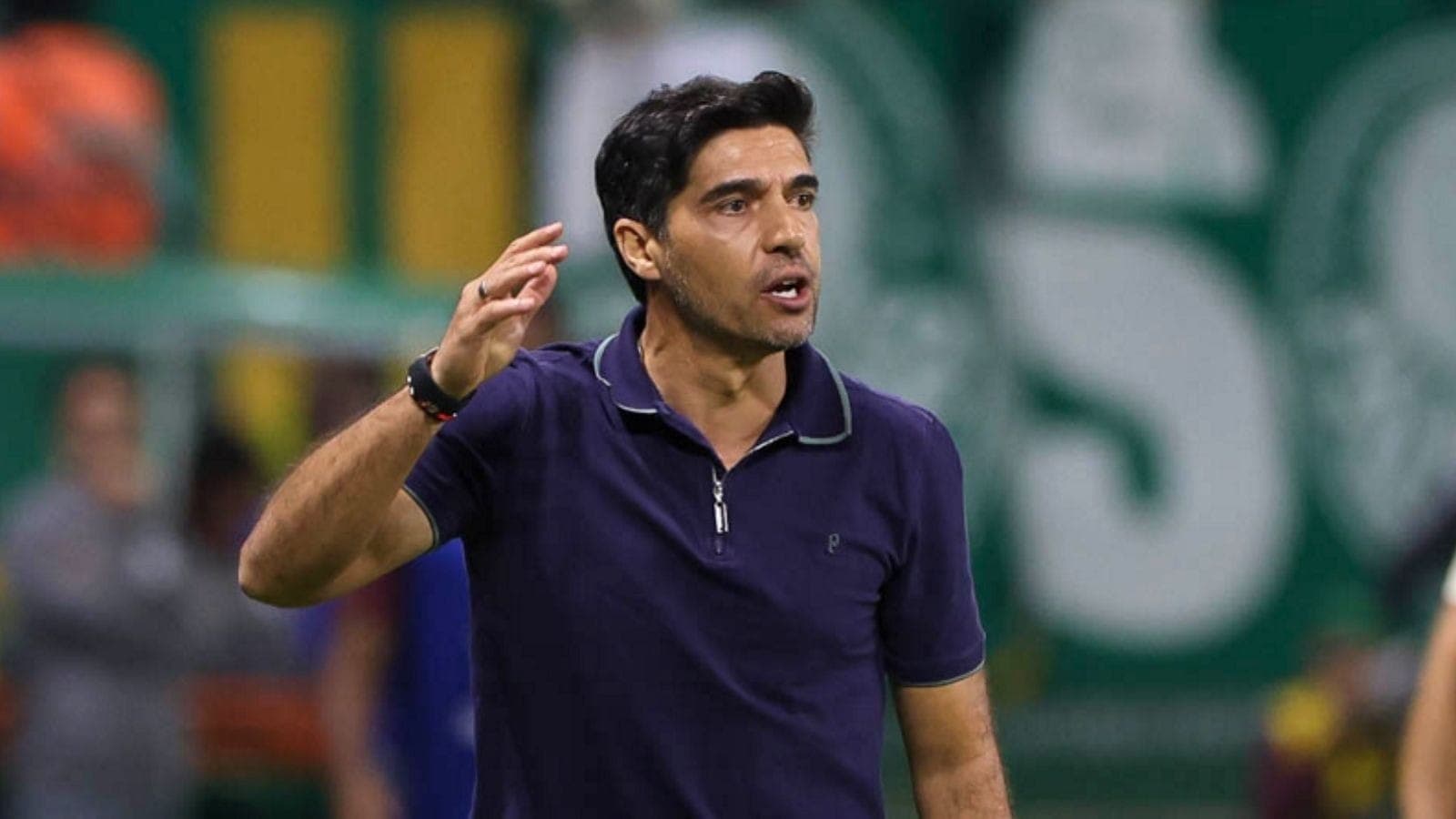 Abel Ferreira, técnico do Palmeiras