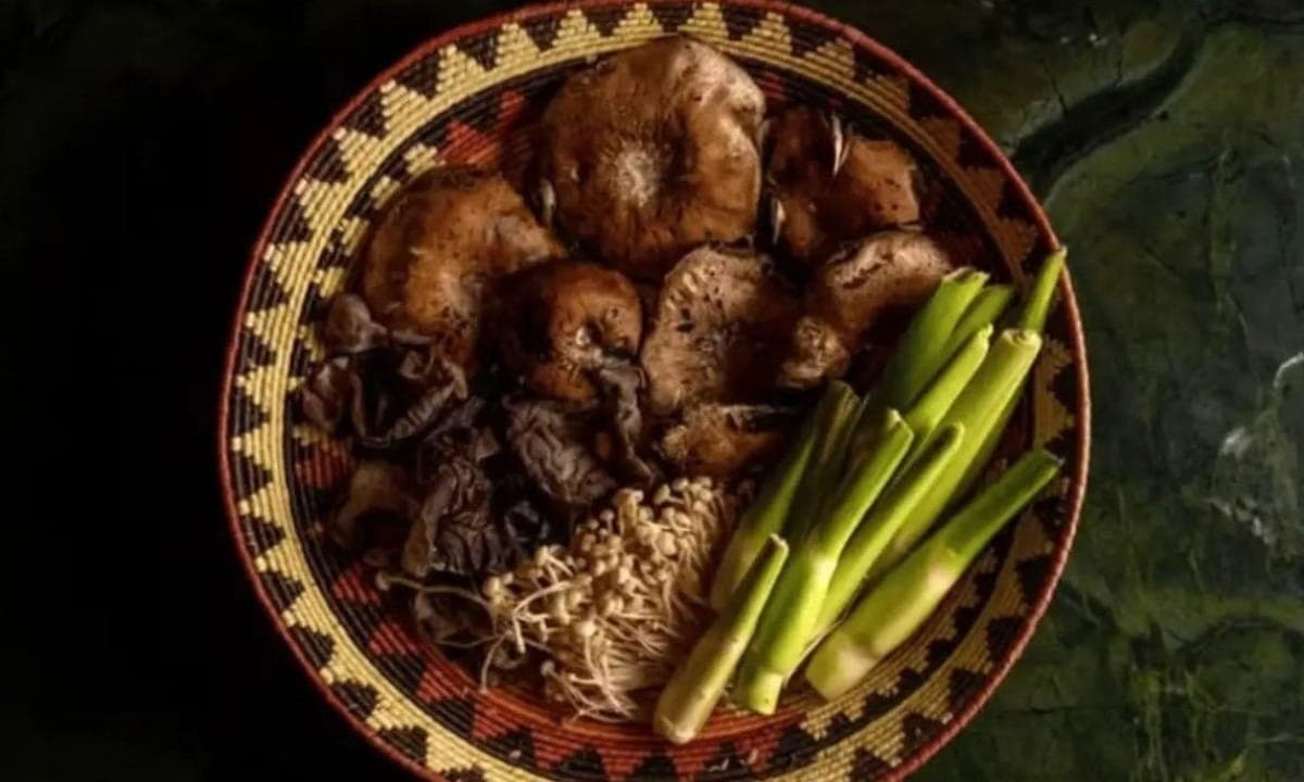 Seis restaurantes brasileiros entram no top 50 melhores da América Latina