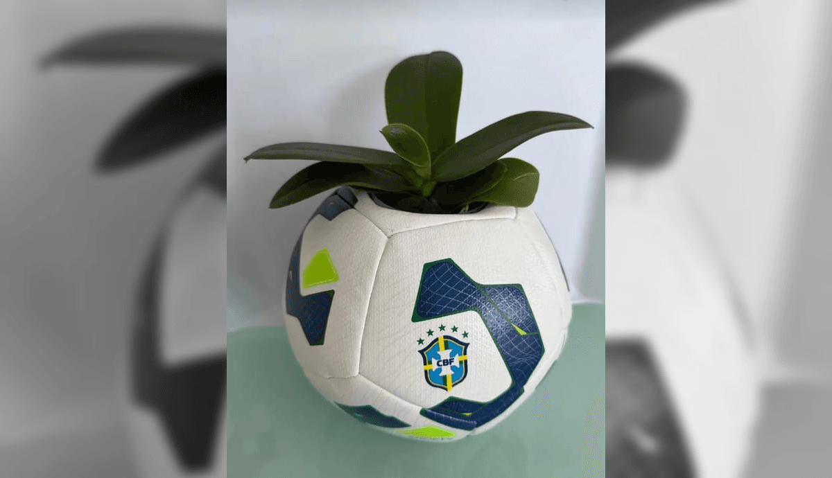 Bola com muda