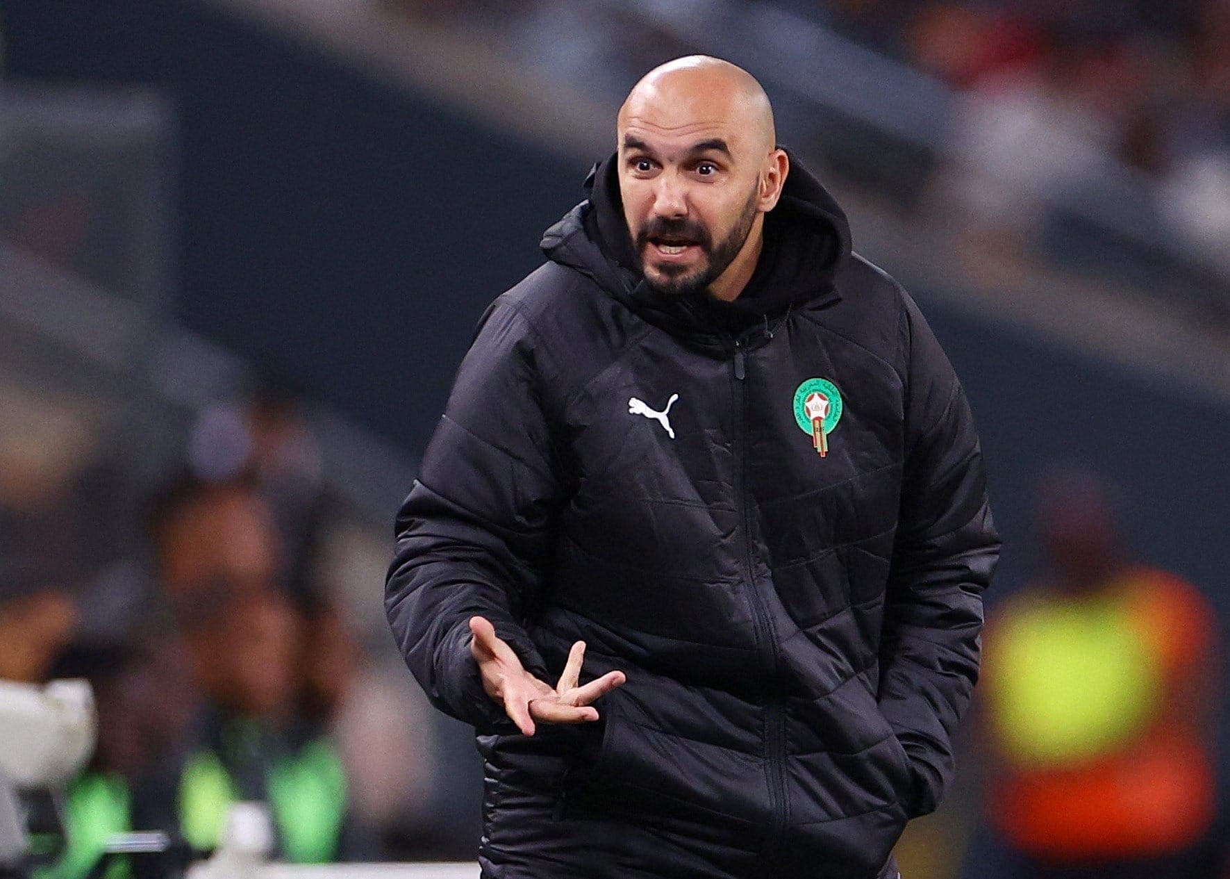 Walid Regragui, técnico de Marrocos