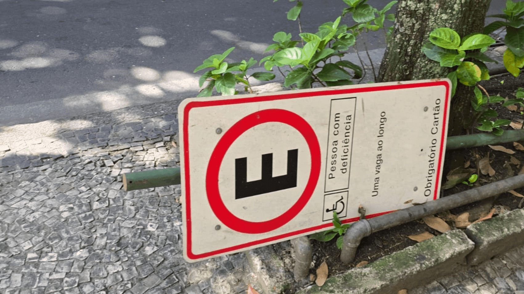 Flanelinhas derrubam placas na Zona Sul