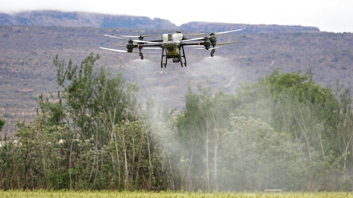 Drone 