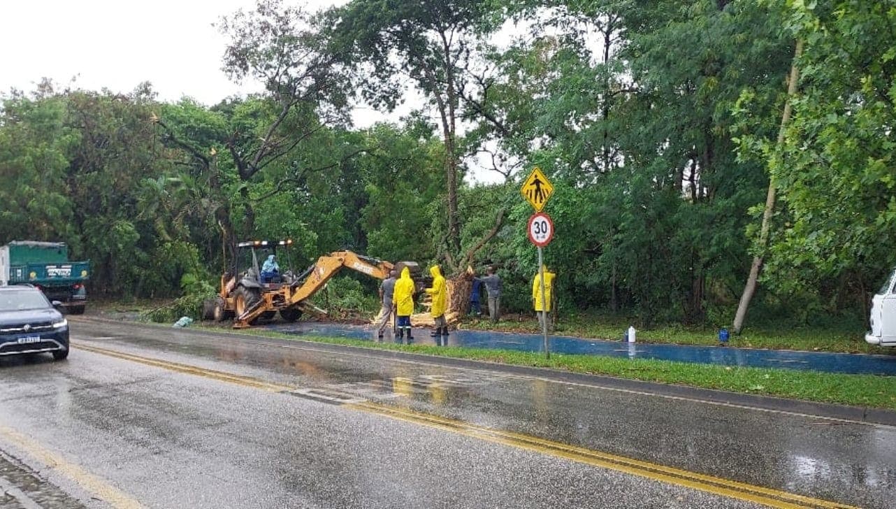 Equipes da Prefeitura fazem limpeza de vias