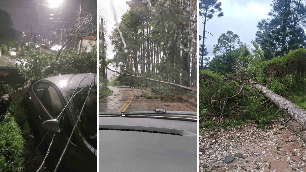 Temporal atinge Campos do Jordão