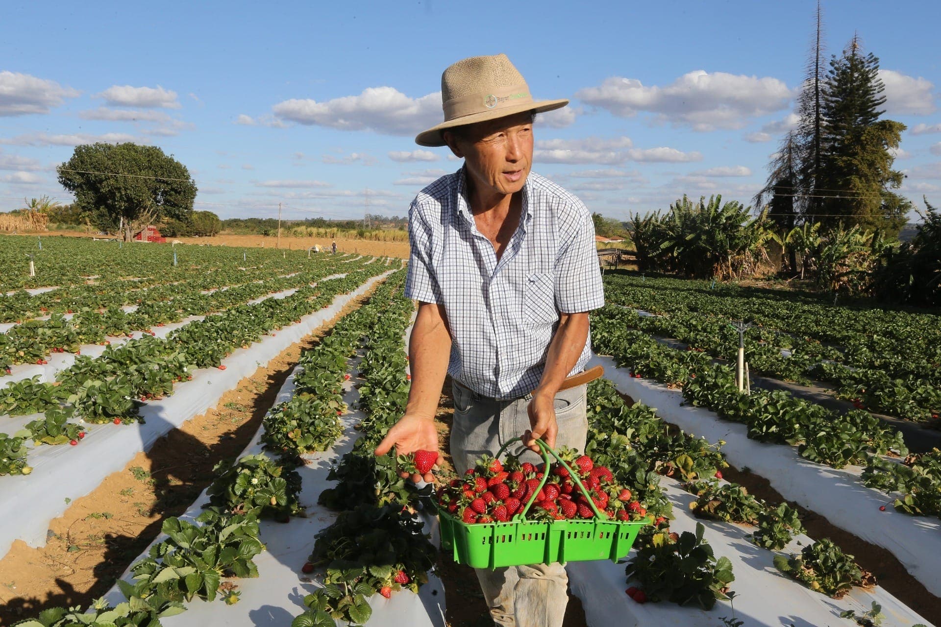 Censo agropecuário é adiado para 2027