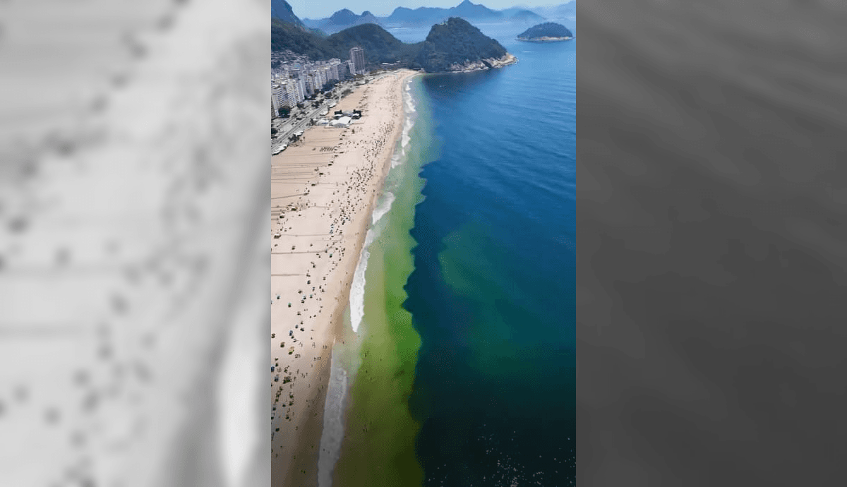 Manchas escuras no mar chamam atenção em praias da Zona Sul do Rio