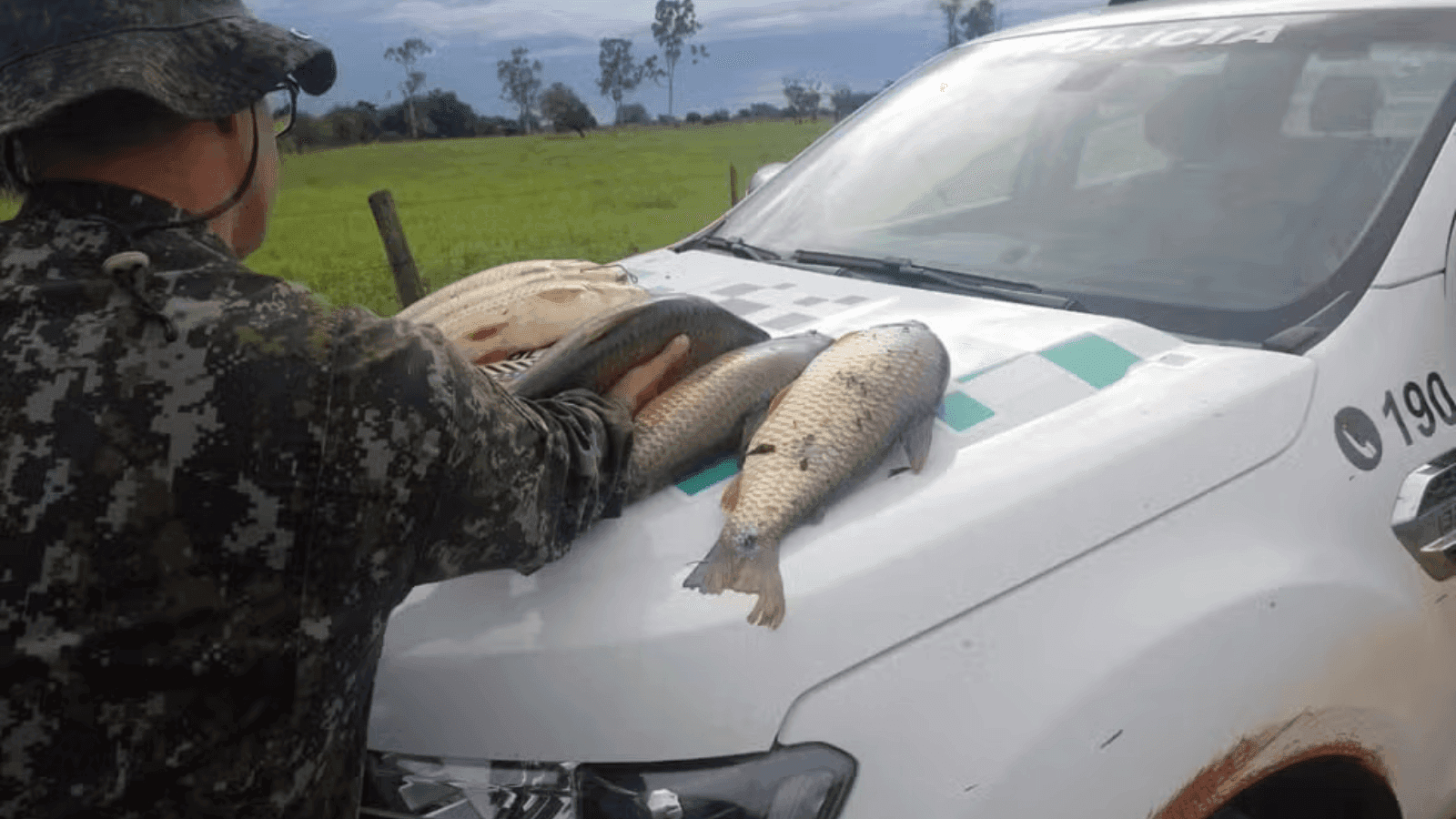 O homem foi abordado na região de Paulicéia 
