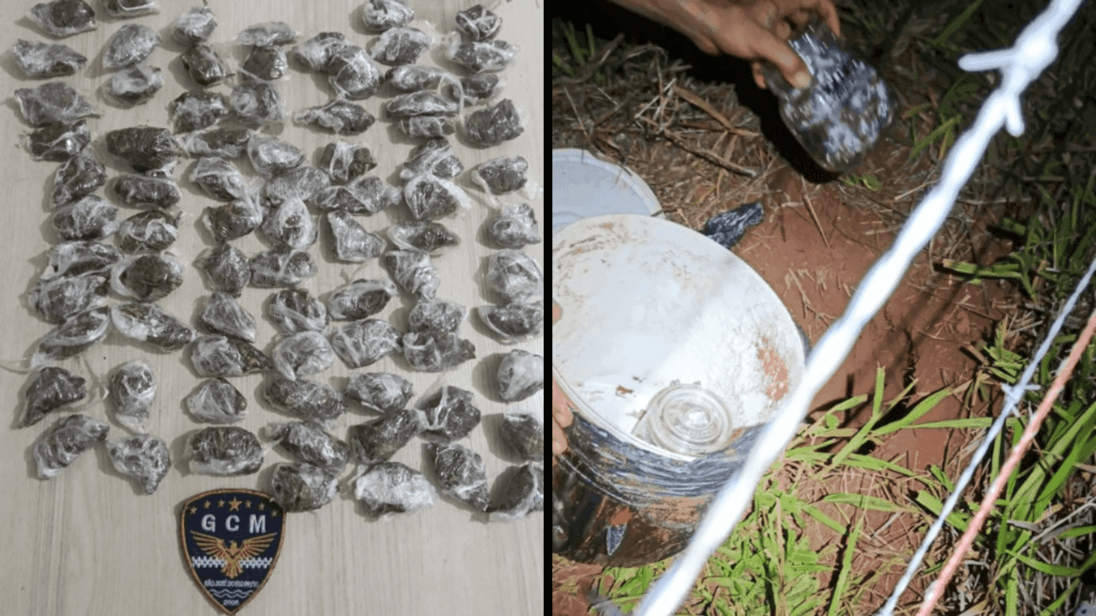 Foram apreendidos 79 invólucros de maconha