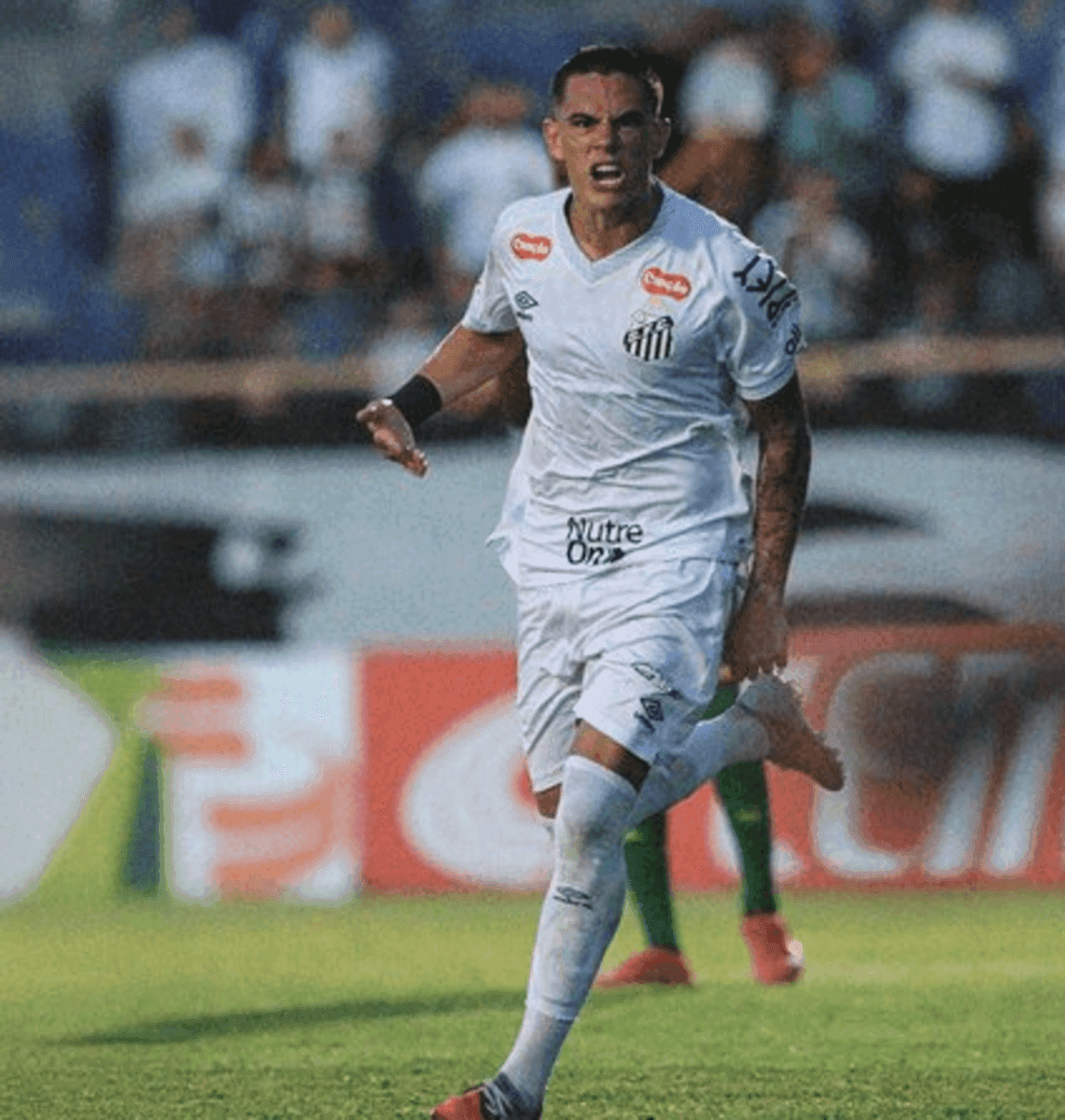 Santos comemora na Copinha