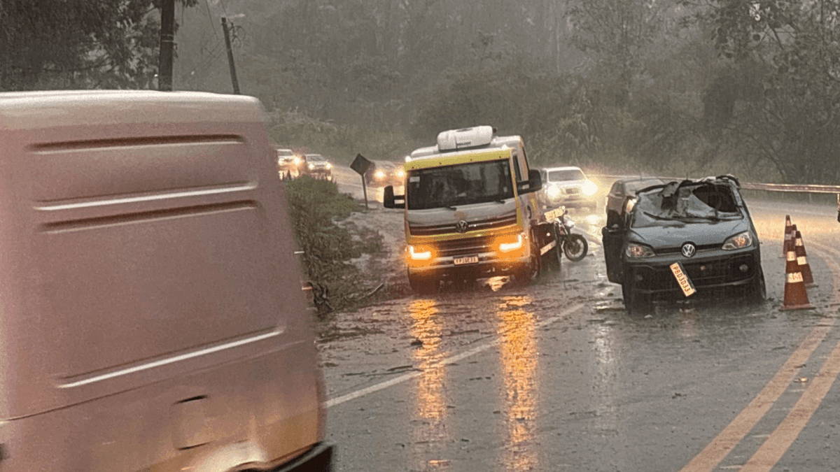 Mulher morre após árvore cair sobre carro na Rodovia Oswaldo Cruz