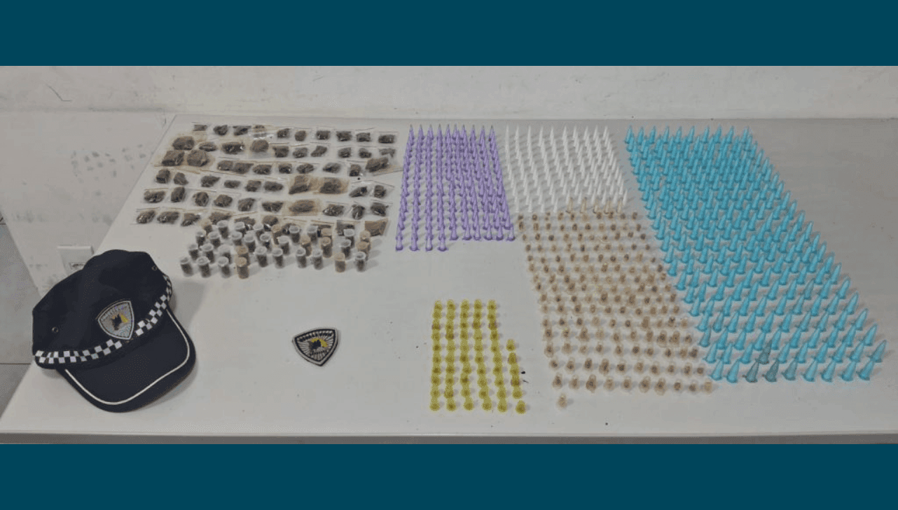 Foram apreendidos maconha, cocaína e crack