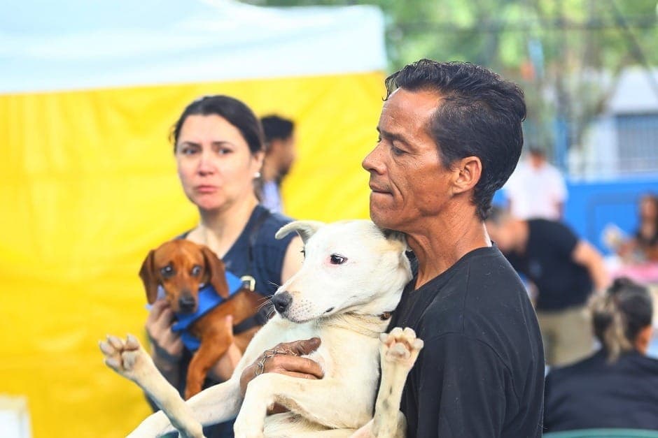 Prefeitura de SJC abre inscrições para castração gratuita de cães e gatos