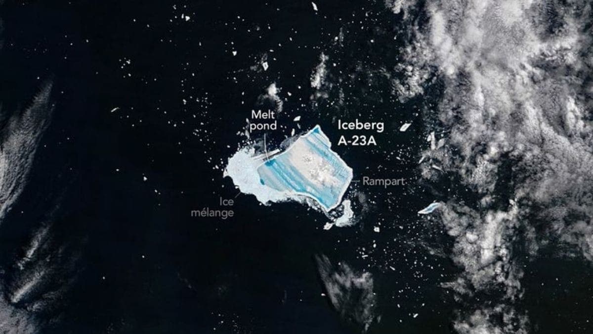 Iceberg A-23