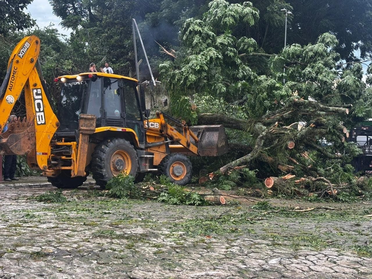 Chuva derruba árvores e causa pontos de alagamentos em São José dos Campos