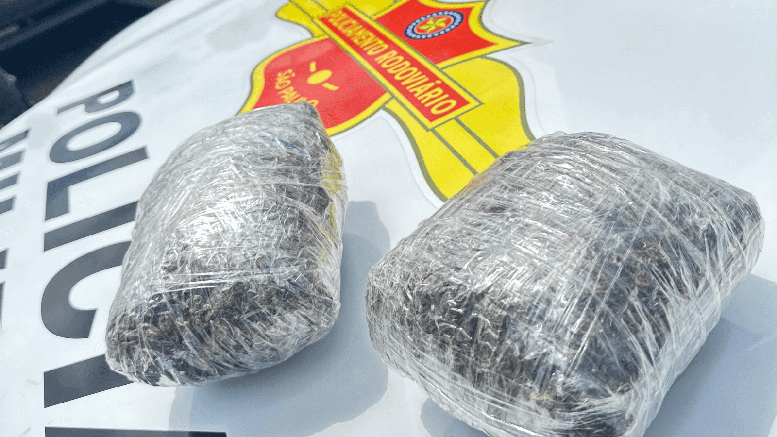 A droga estava escondida em uma sacola de mão