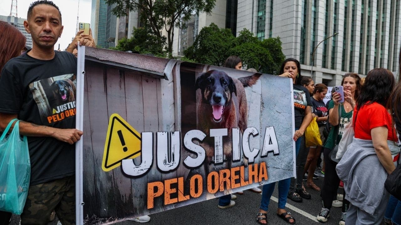 Protesto na Paulista pela morte do cão Orelha
