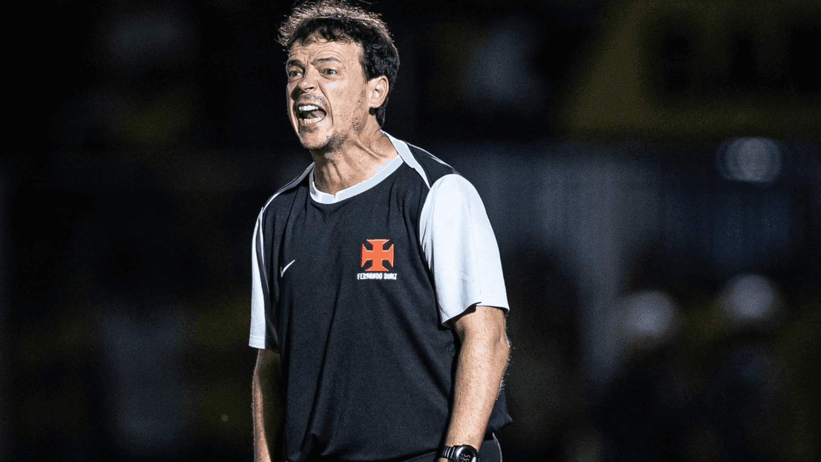 Fernando Diniz, técnico do Vasco