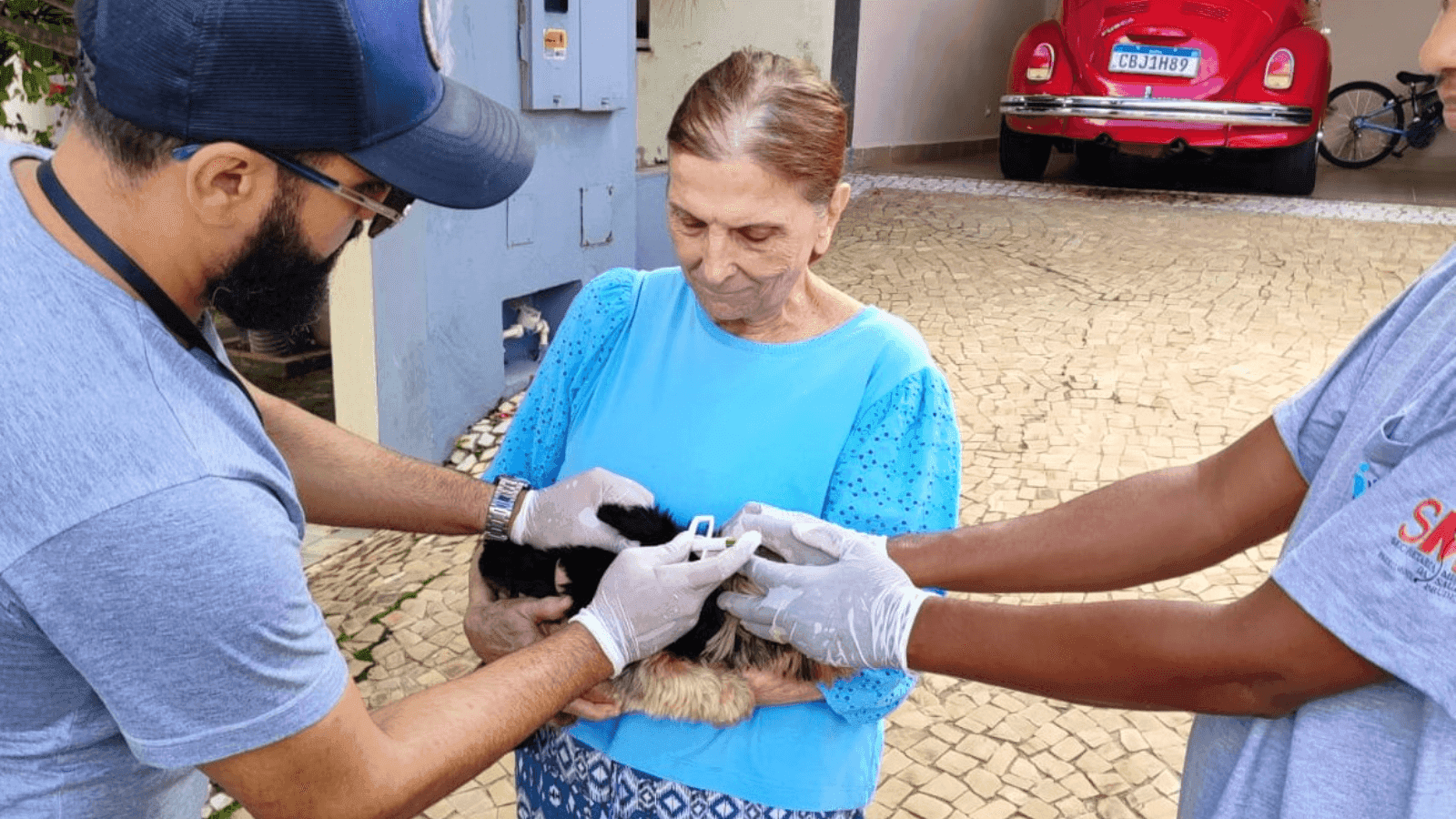 As visitas acontecem sempre durante a semana