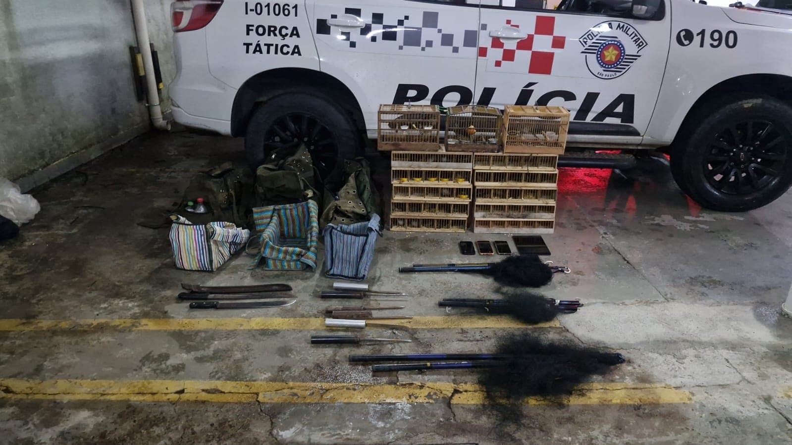 PM prende dois homens por prática de crime ambiental em São José dos Campos