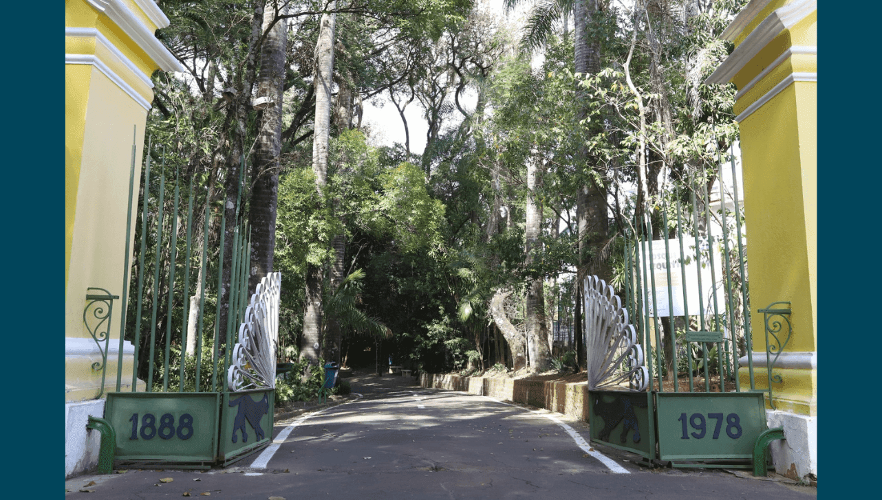 Bosque dos Jequitibás, em Campinas