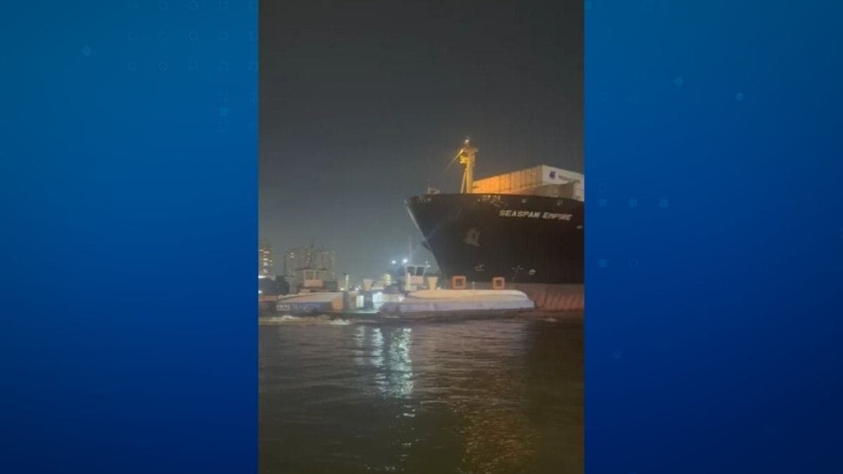 Navio atinge balsas no Porto de Santos 