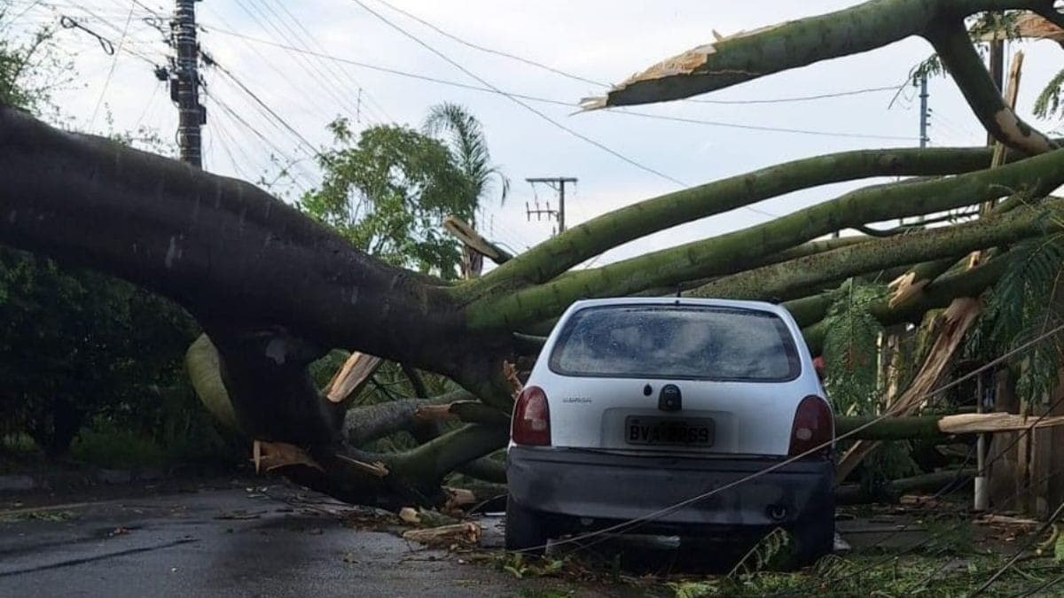 Fortes chuvas causaram mais de setenta ocorrências em Taubaté