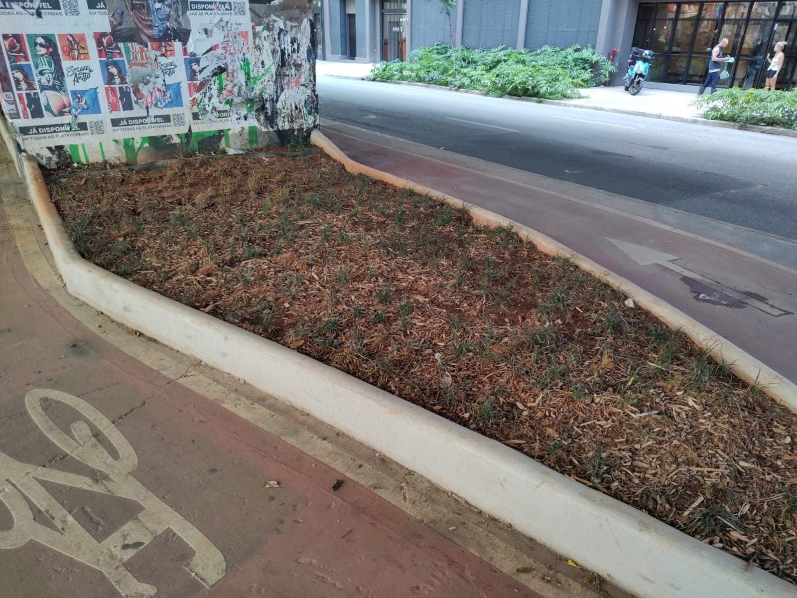 Jardim de chuva São Paulo na Amaral Gurgel