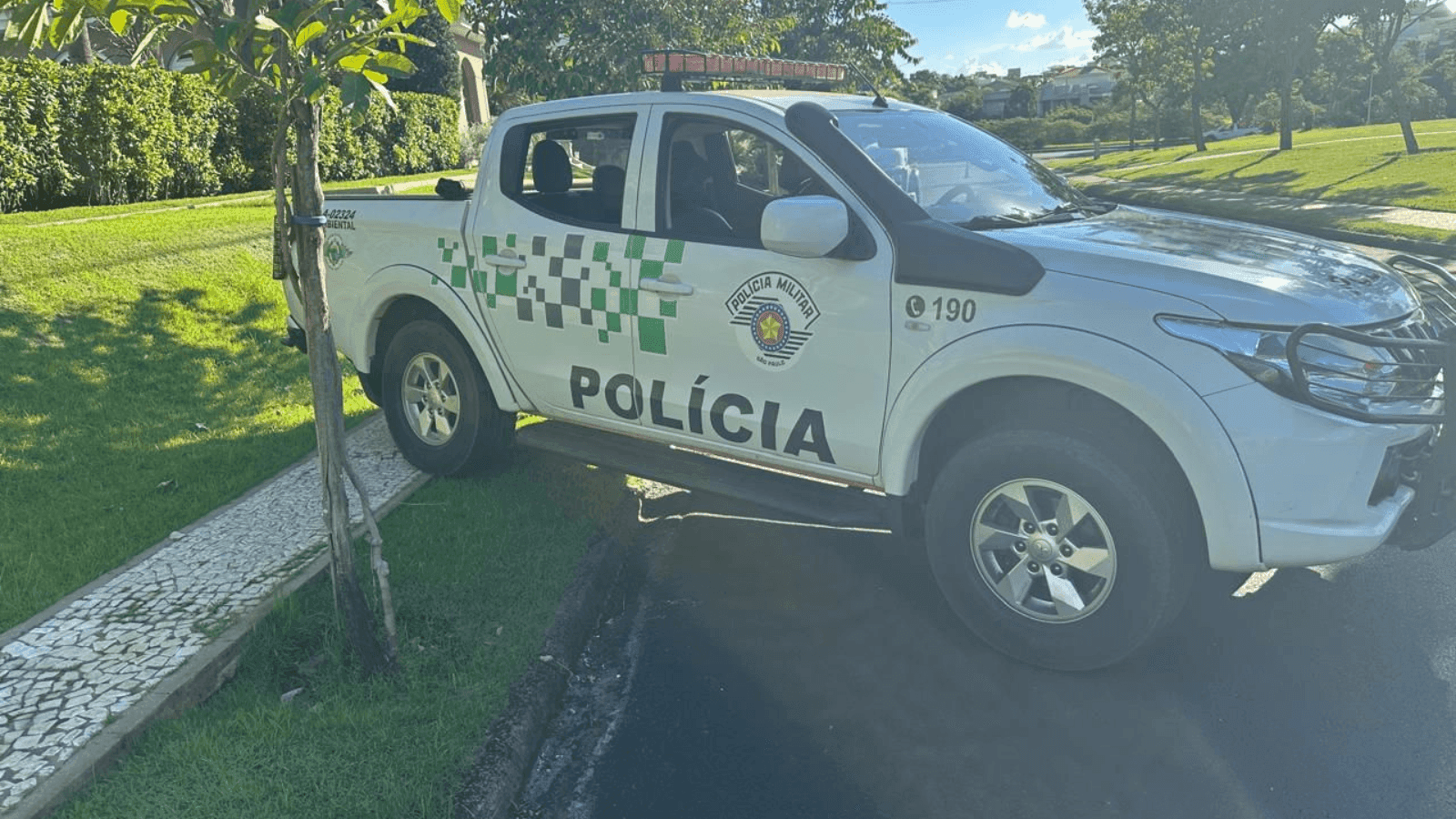 O rapaz confirmou ter agredido o animal