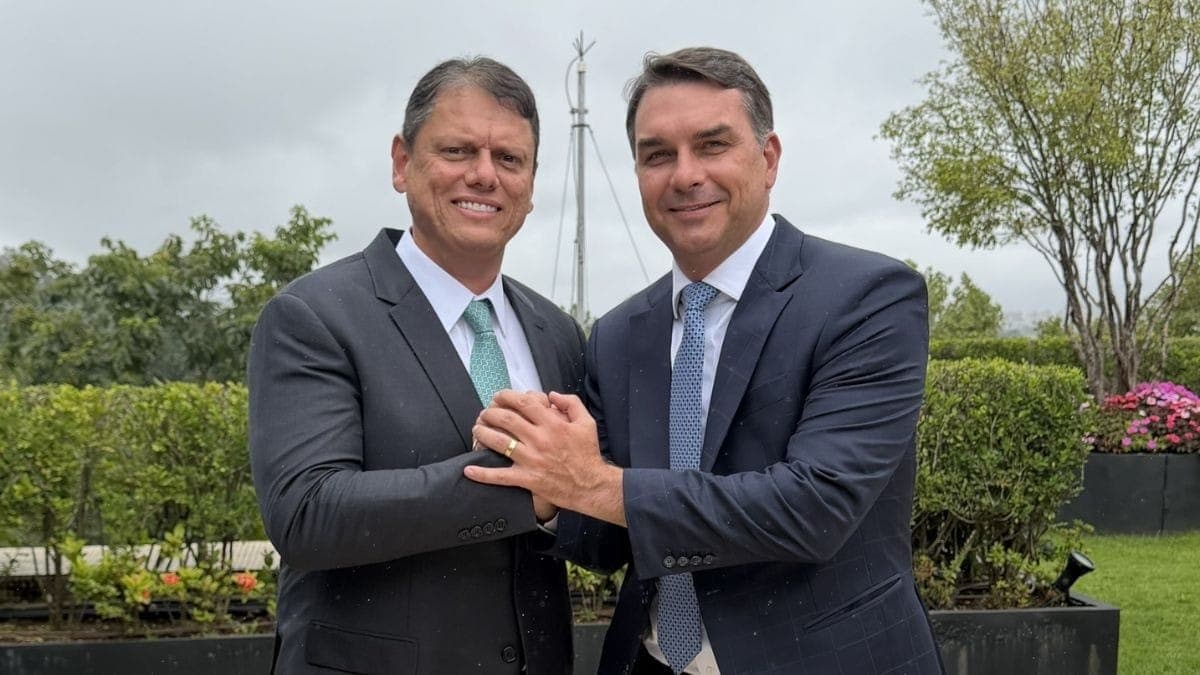 Tarcísio de Freitas e Flávio Bolsonaro 