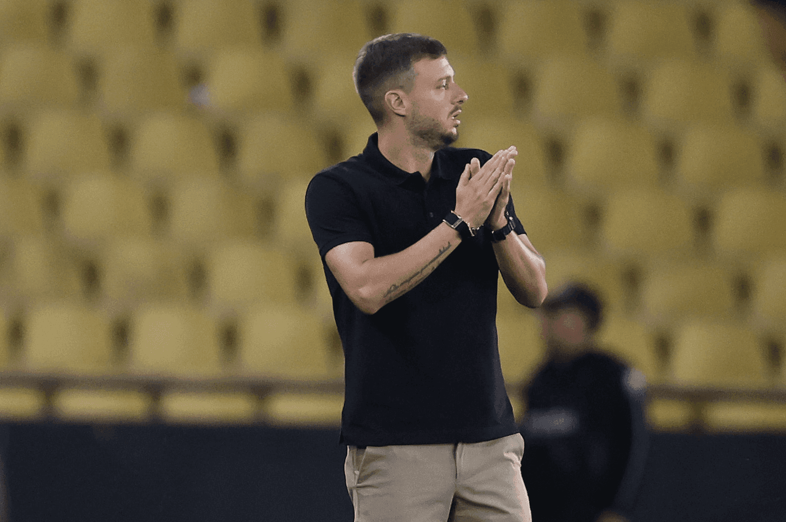 Anselmi no Botafogo