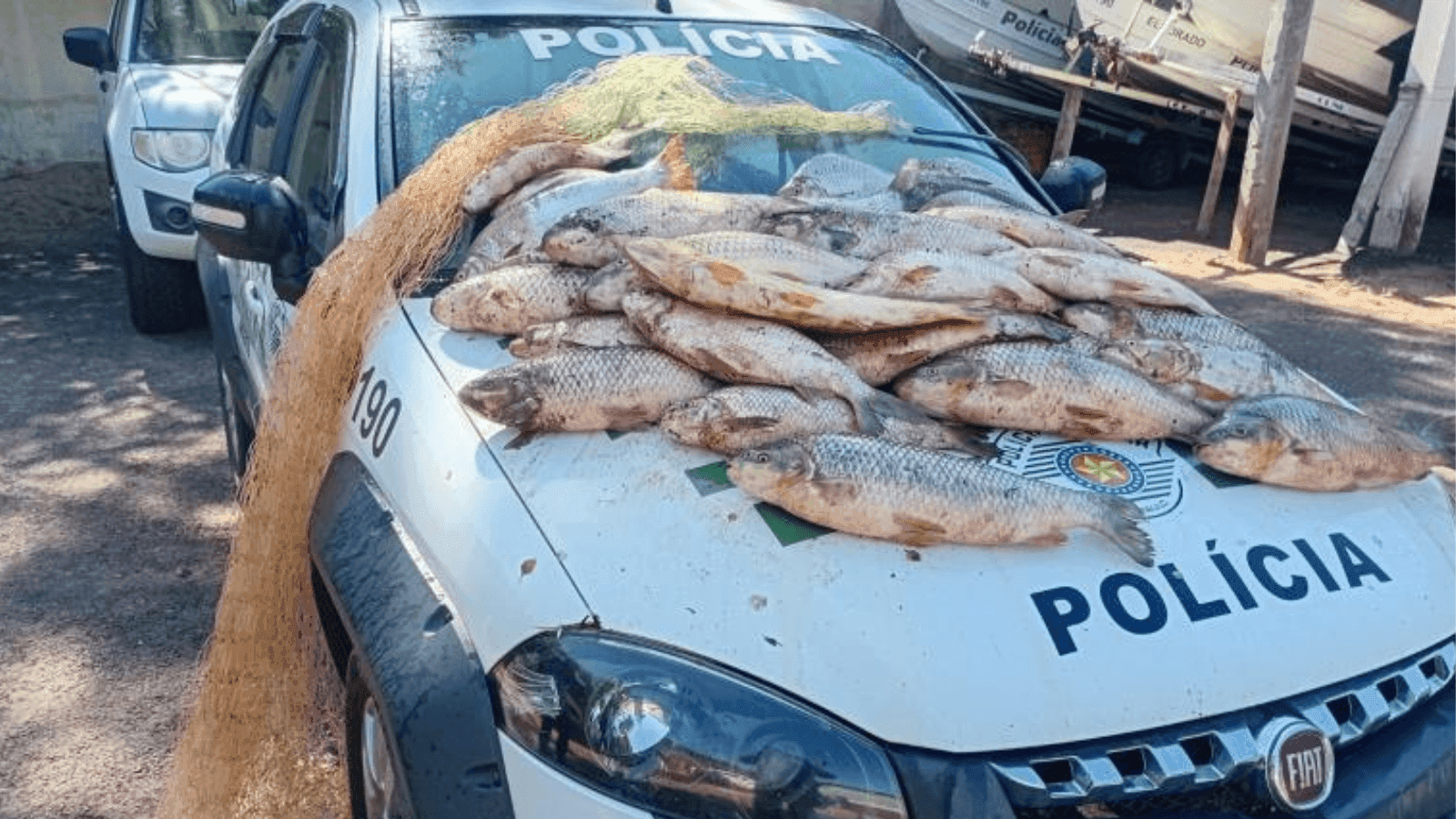 Foram apreendidos mais de 60 quilos de pescado