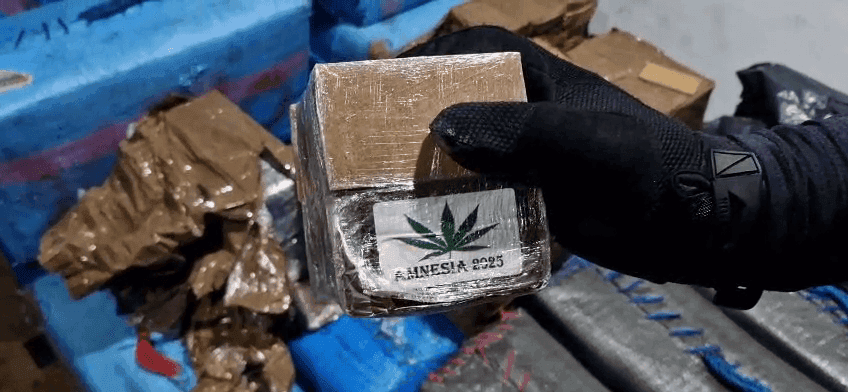 Haxixe apreendido pela Polícia Civil
