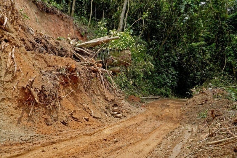 Estrada de Castelhanos em Ilhabela é liberada após queda de barreiras