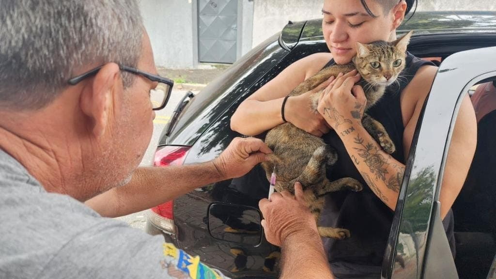 Vacinação antirrábica 