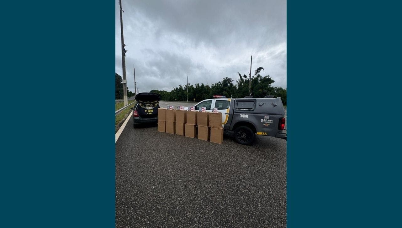 Carga foi apreendida em rodovia