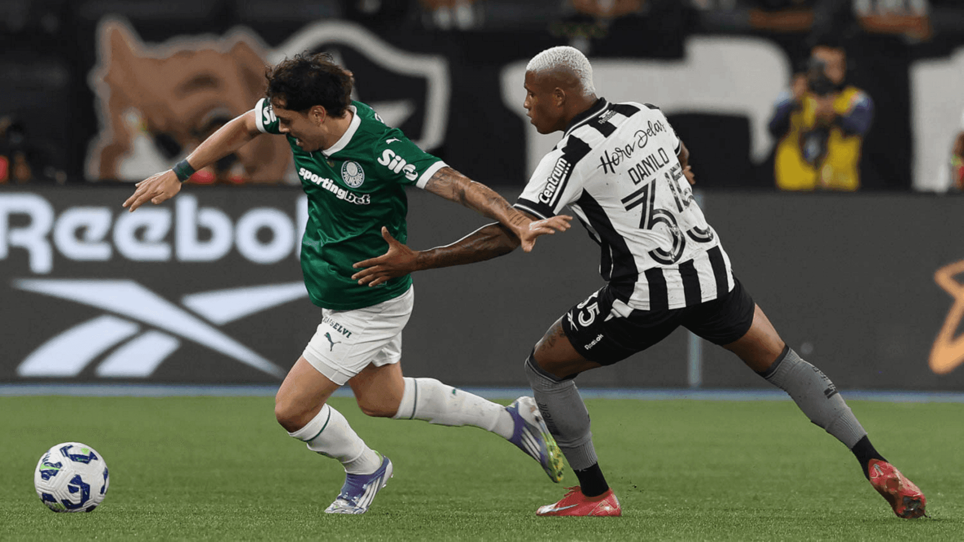Palmeiras recebe Botafogo nesta quarta-feira (18)