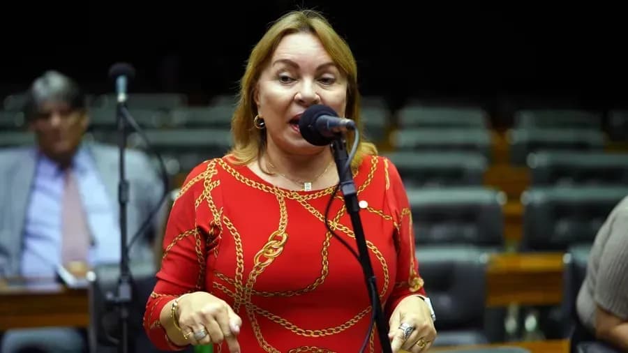 Deputada federal Maria Gorete Pereira