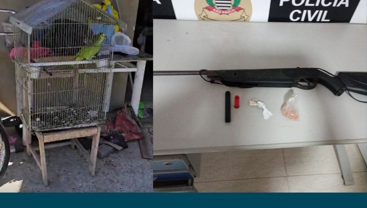 Apreensões foram no bairro  Rodeio