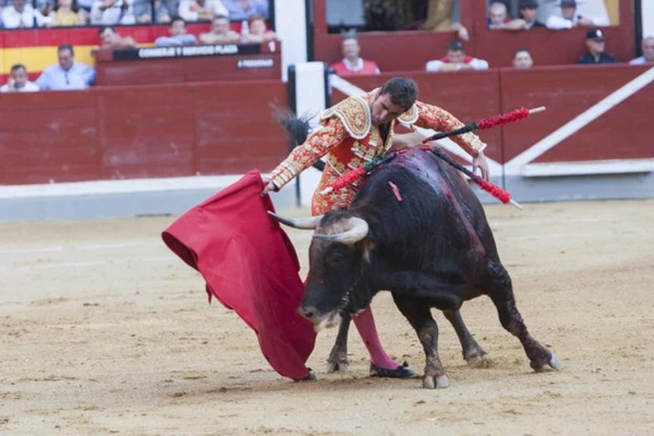 Touradas são proibidas em muitos países