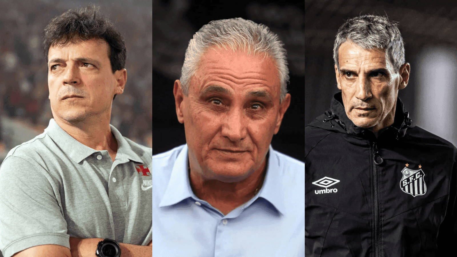 Fernando Diniz, Tite e Vojvoda