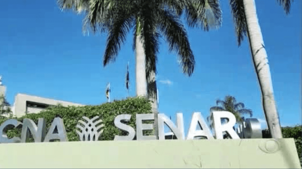 Senar