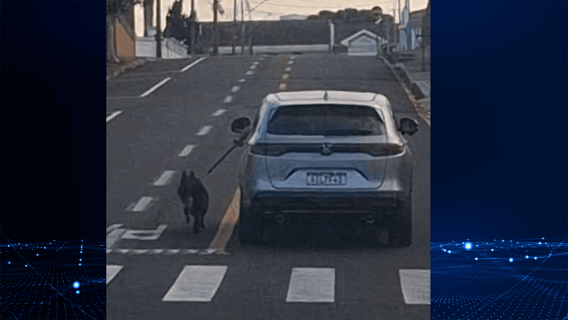 Polícia tenta localizar motorista 