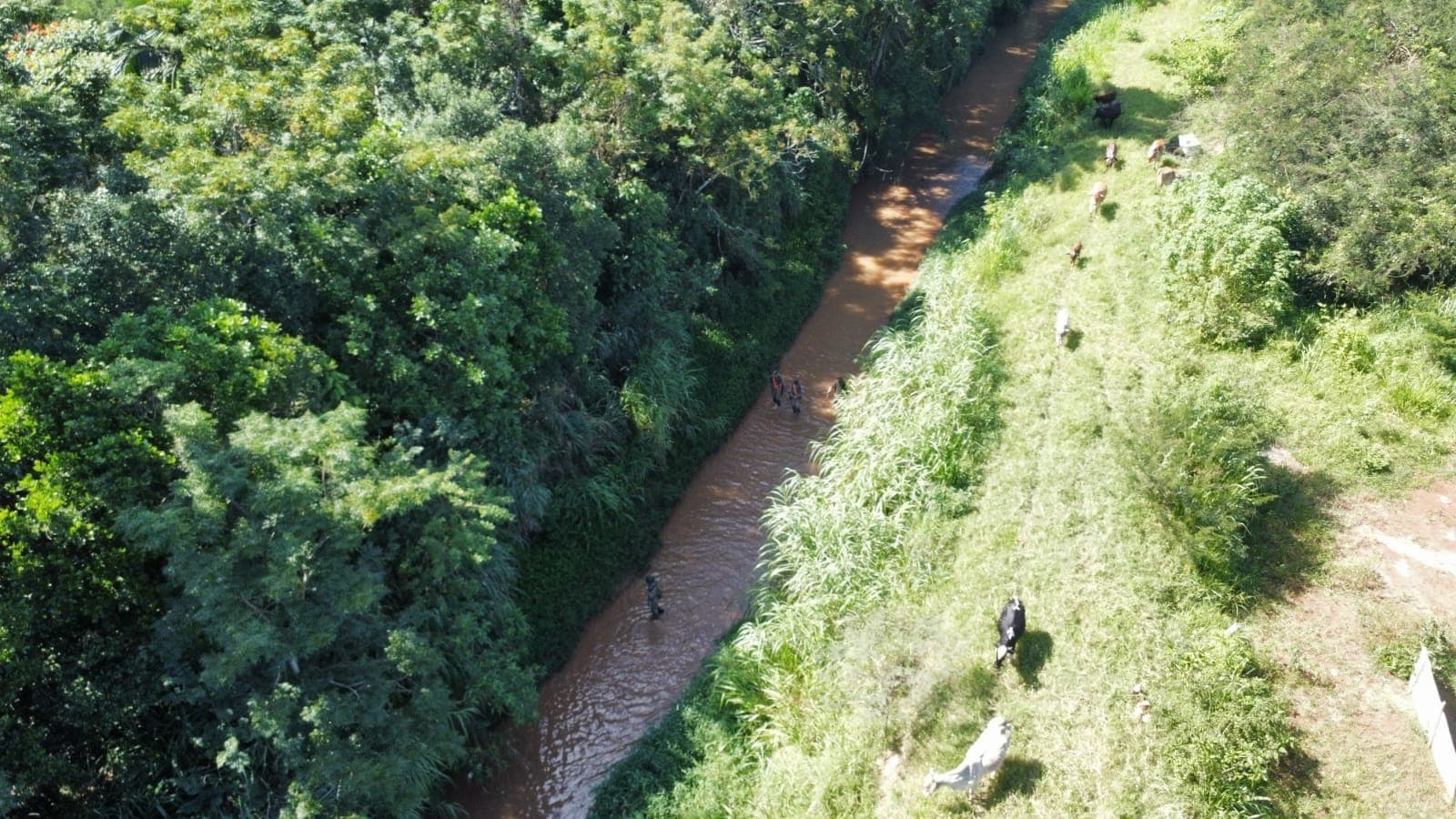 Buscas ocorrem no córrego Cambuí